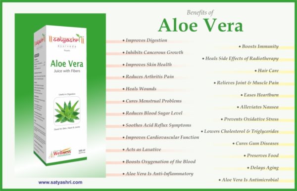 Ayurvedic Aloe Vera Herbal Ras - Image 2