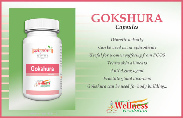 Ayurvedic Herbal Gokshura Capsules - Image 2