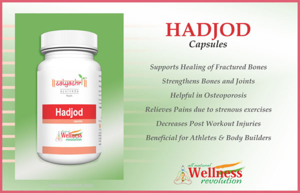 Ayurvedic Herbal Hadjod Capsules - Image 2