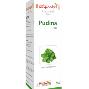 ayurvedic-pudina-herbal-ras