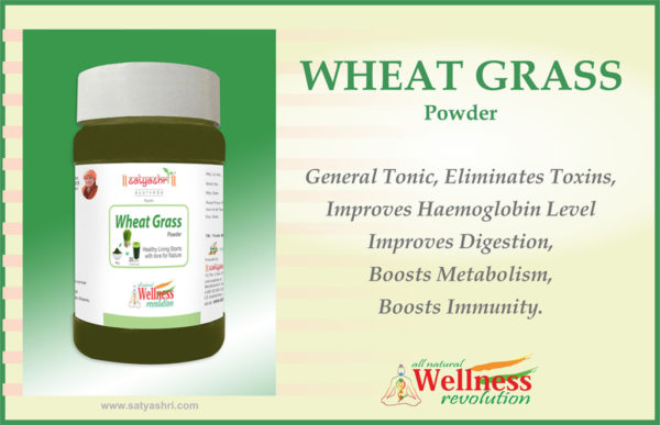 Wheat Grass - Image 2